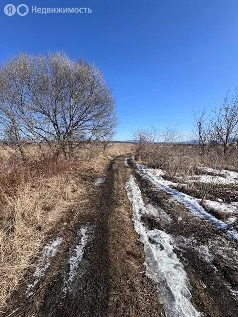 Участок в Приморский край, Черниговский муниципальный округ, село ... - Фото 1