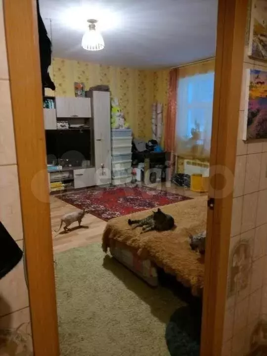 1-к. квартира, 46,2 м, 3/3 эт. - Фото 1