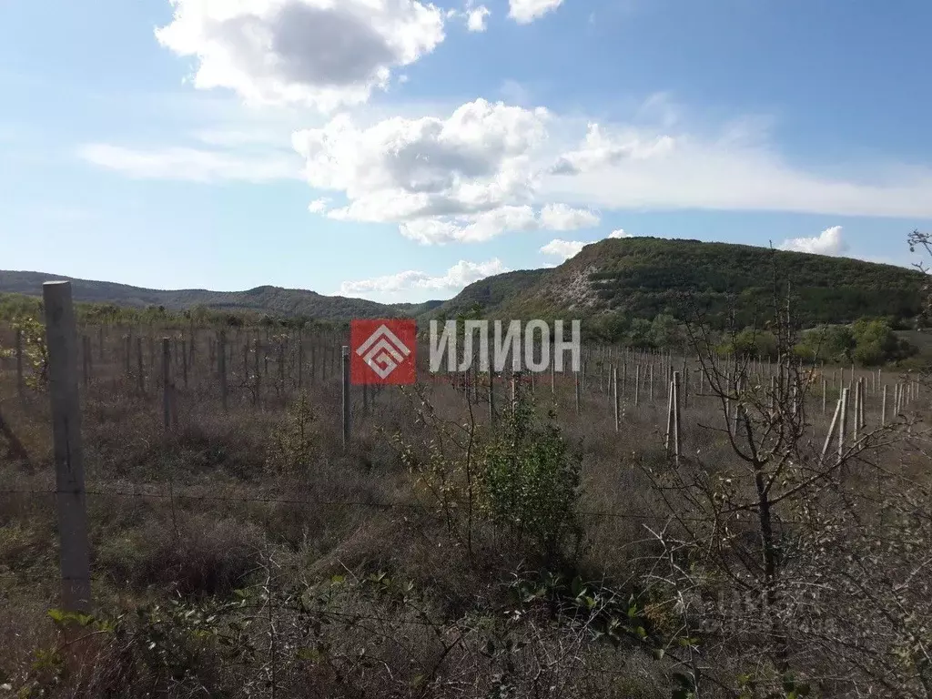 Участок в Крым, Бахчисарайский район, Скалистовское с/пос, с. ... - Фото 2