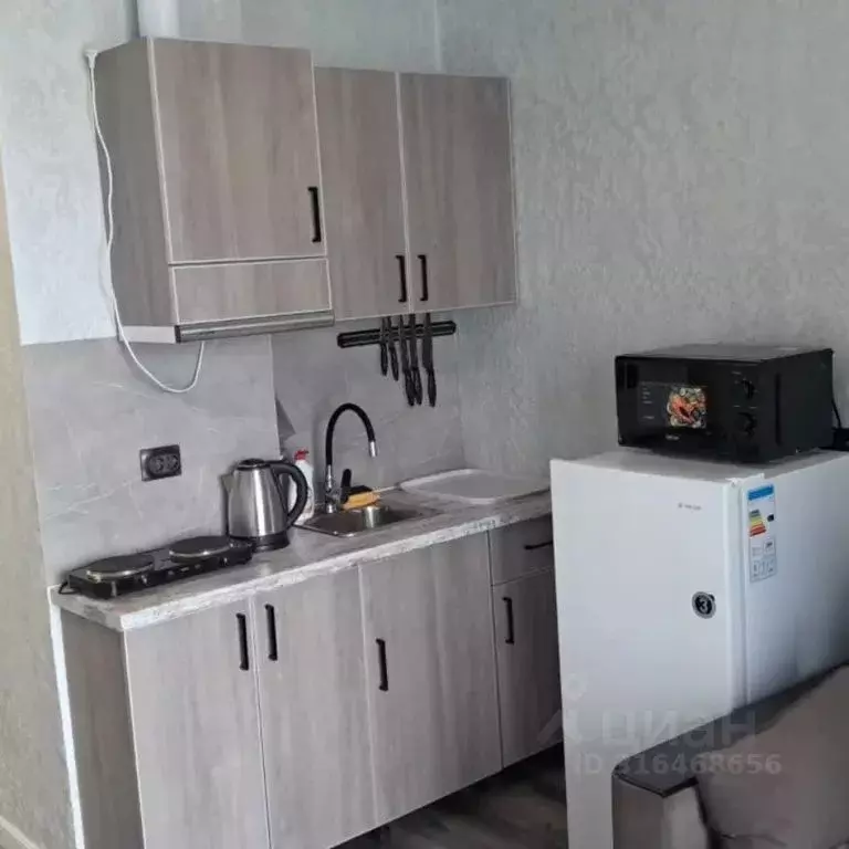 Студия Краснодарский край, Сочи Бытха мкр, ул. Ясногорская, 16/2к1 ... - Фото 1
