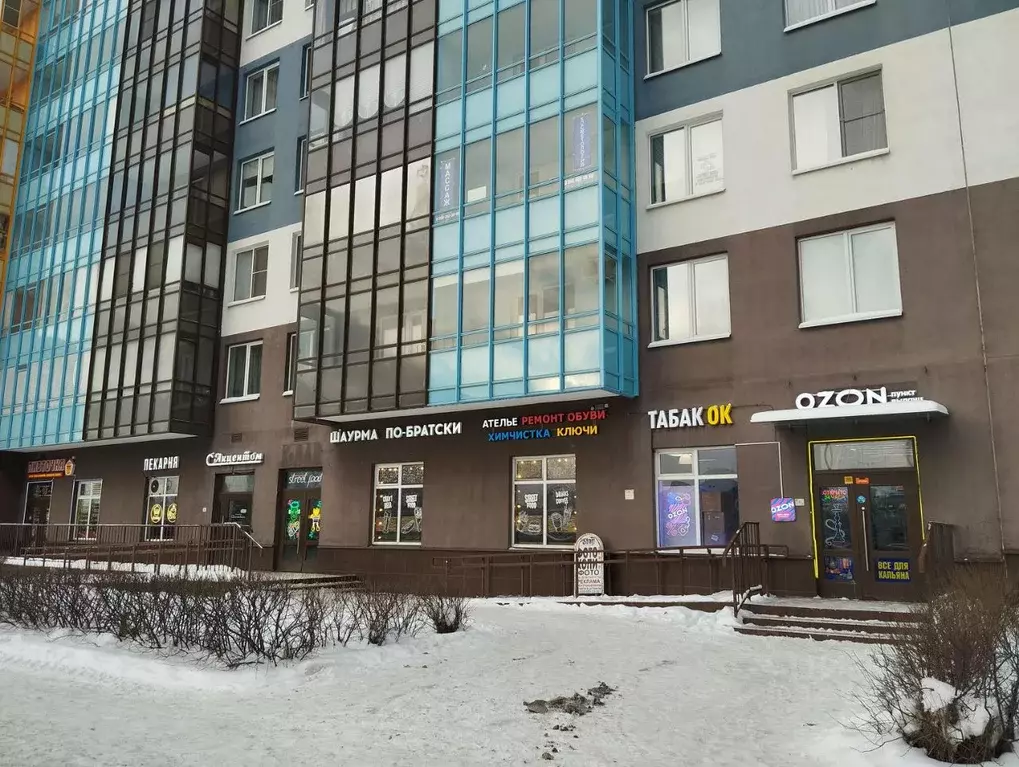 Студия Санкт-Петербург ул. Плесецкая, 16 (24.5 м) - Фото 1