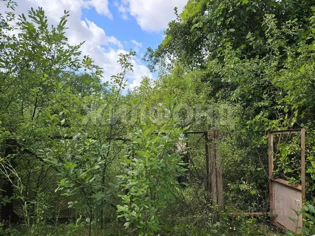 Дом в Воронежская область, Семилукский район, Девицкое с/пос, ... - Фото 2