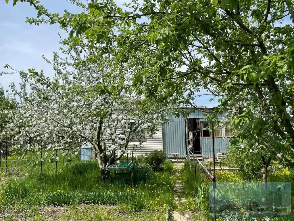 Купить Дачу Снт Дары Природы Волжский