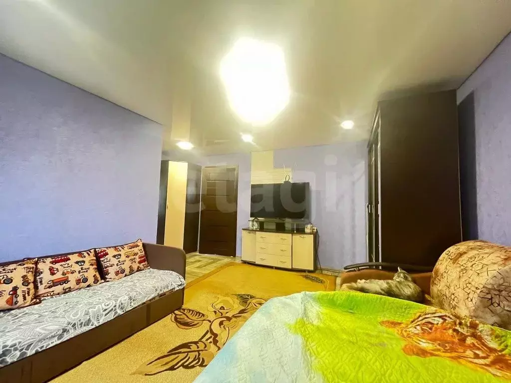 Дом в Алтай, Майминский район, пос. Алферово Горный пер., 13 (41 м) - Фото 1