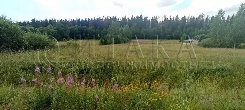 Участок в Ленинградская область, Выборгский район, Селезневское с/пос, ... - Фото 0