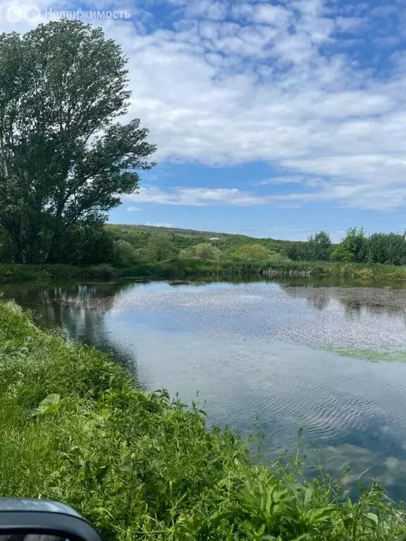Участок в Белогорский район, Зеленогорское сельское поселение (25 м) - Фото 1