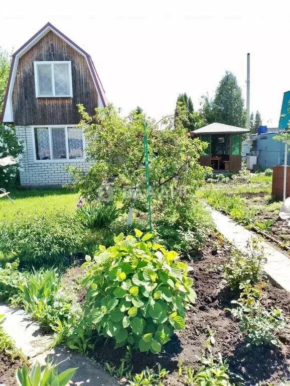 Участок в Натальинское муниципальное образование, СНТ Приморье, ... - Фото 1