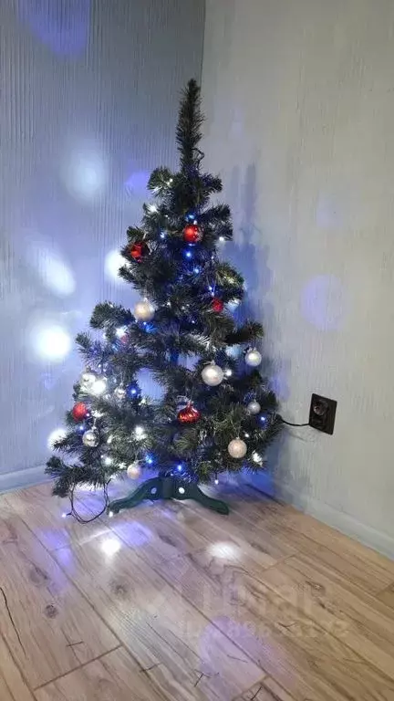 2-к кв. Псковская область, Псков ул. Льва Толстого, 30А (40.0 м) - Фото 1