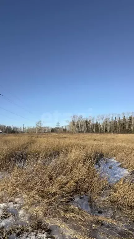 Участок в Тюменская область, Тюменский район, д. Малиновка, Малиновка ... - Фото 1