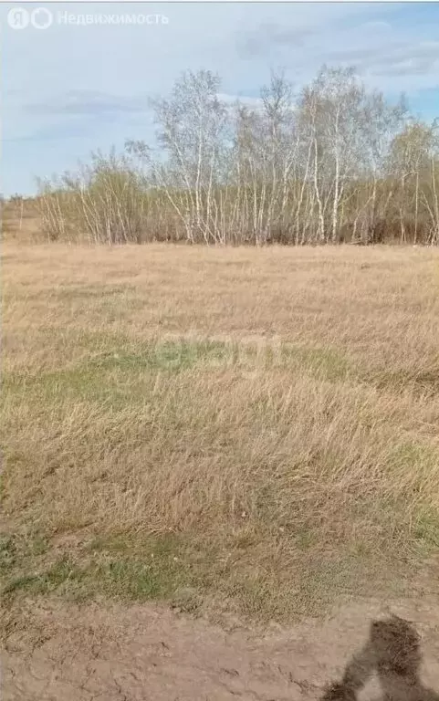 Участок в Якутск, территория Баал Заимката (3000 м) - Фото 1