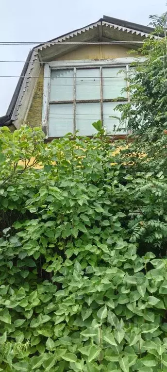 Участок в Свердловская область, Екатеринбург Управление Коммунальных ... - Фото 2