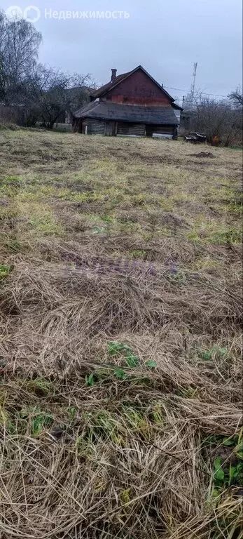 Участок в деревня Сафоново, Раменская улица, 19 (14 м) - Фото 2