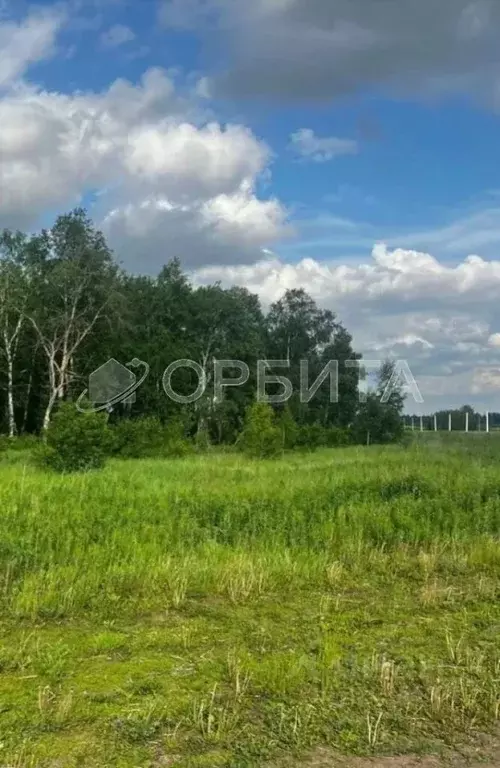 Участок в Тюменская область, Тюменский район, с. Княжево  (9.0 сот.) - Фото 1