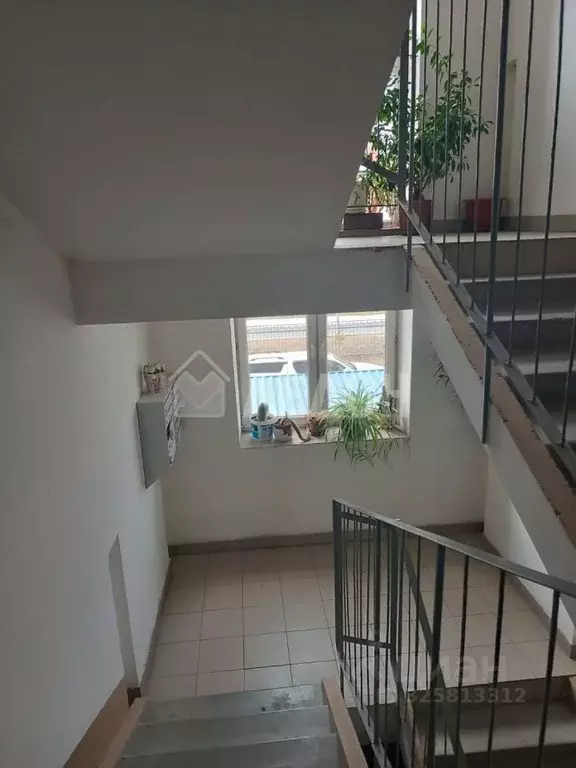 1-к кв. Омская область, Омск ул. Конева, 44 (34.8 м) - Фото 2