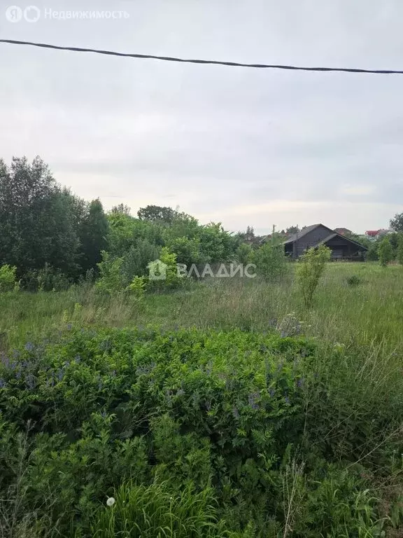 Участок в Суздальский район, муниципальное образование Павловское, ... - Фото 0
