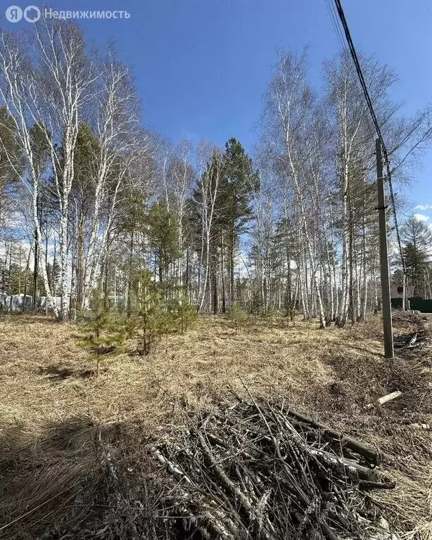 Участок в Иркутский муниципальный округ, ДПК Ангарский берег, ... - Фото 0