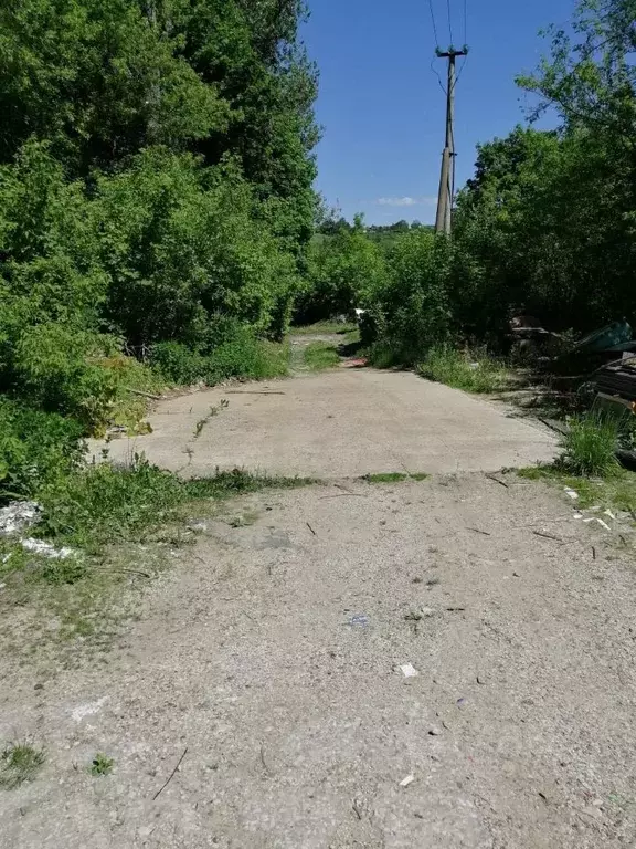 Участок в Тульская область, Алексин ул. Глинки, 10 (10.0 сот.) - Фото 1