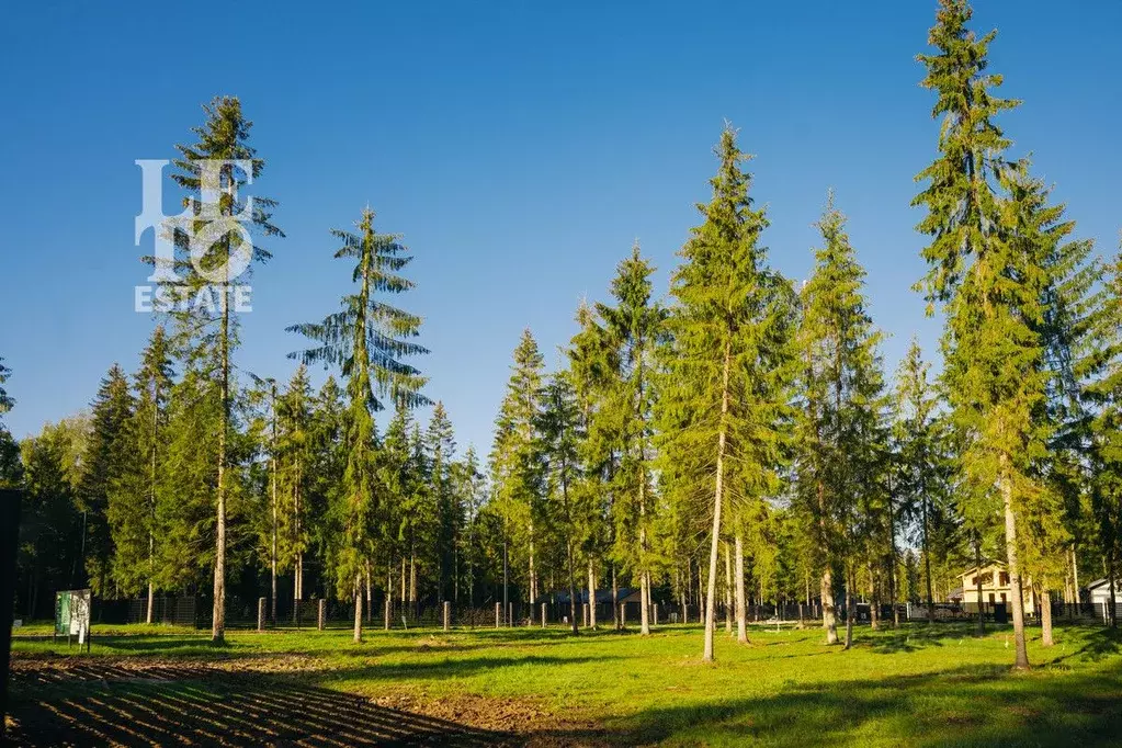 Участок в Московская область, Клин городской округ, Ели Эстейт ... - Фото 2