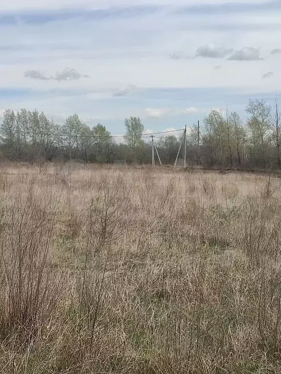 Участок 15 сот. (ИЖС) - Фото 0