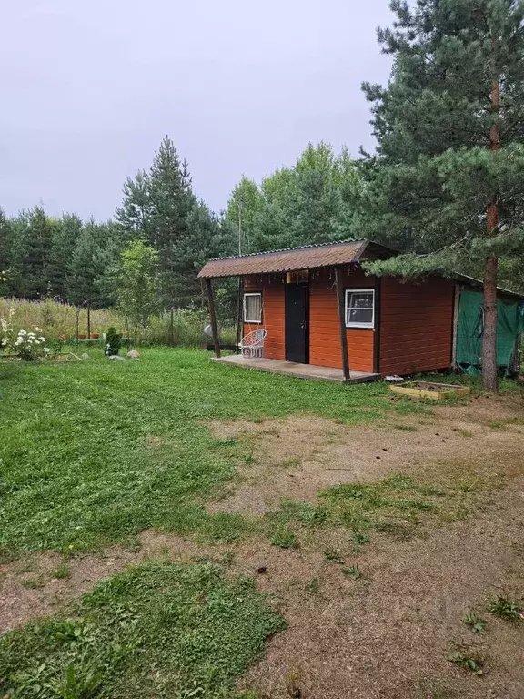 Участок в Новгородская область, Валдайский район, Рощинское с/пос, д. ... - Фото 1