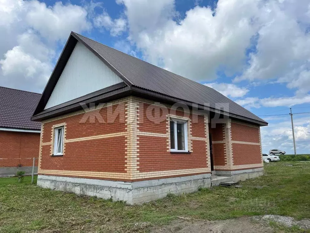 Дом в Новосибирская область, Коченевский район, с. Прокудское ... - Фото 1