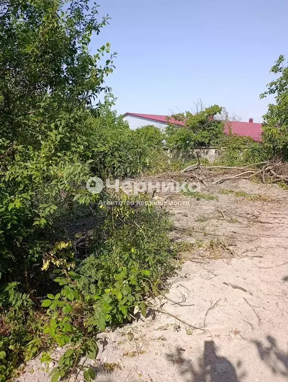 Участок 10 сот. (СНТ, ДНП) - Фото 1