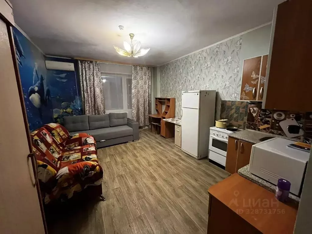 Студия Хакасия, Абакан просп. Дружбы Народов, 39 (27.0 м) - Фото 2