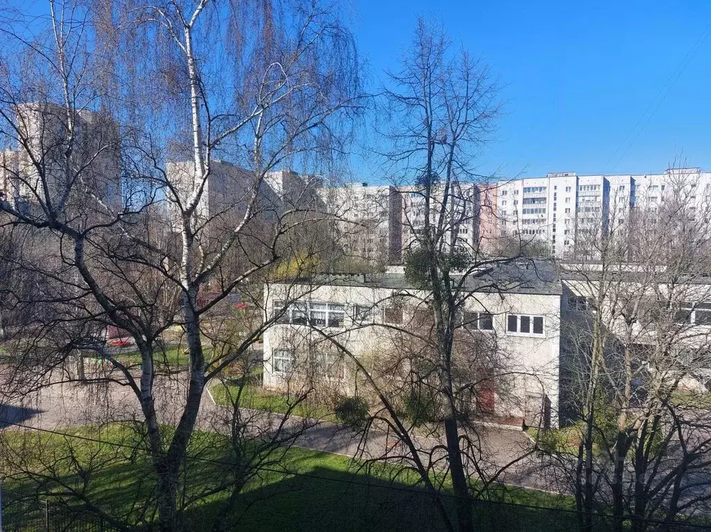 1-к кв. Калининградская область, Калининград Батальная ул., 81 (30.6 ... - Фото 2