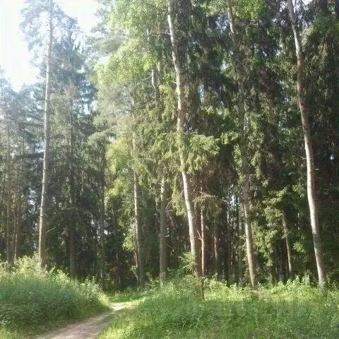 Участок, 10 сот., сельхоз (снт или днп) - Фото 0