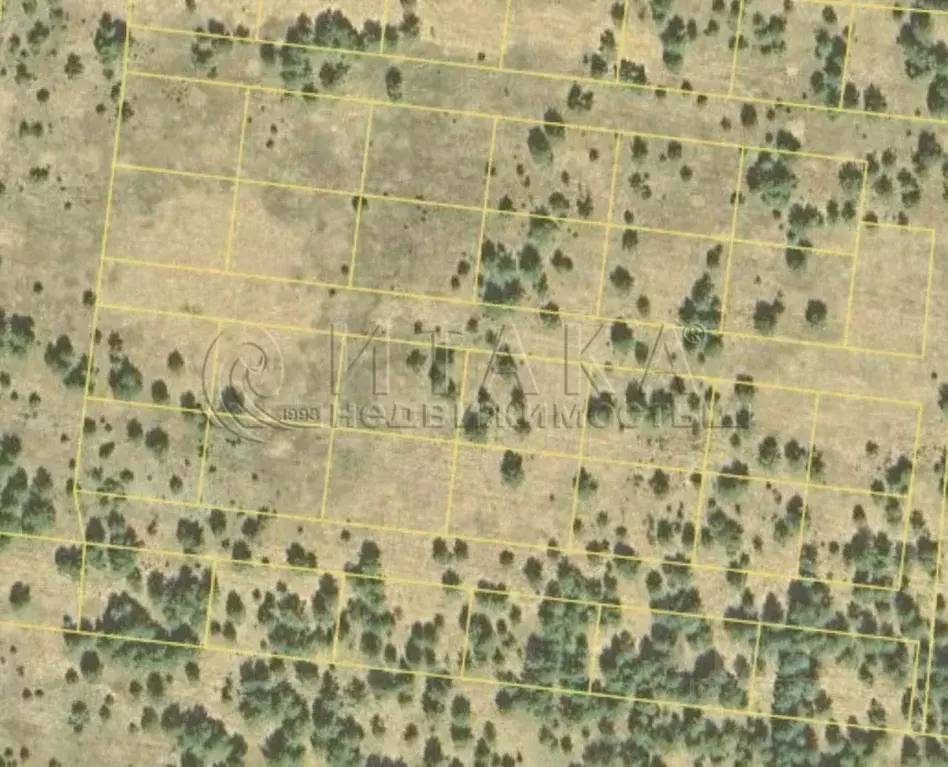 Участок в Ленинградская область, Лодейнопольский район, Алеховщинское ... - Фото 2