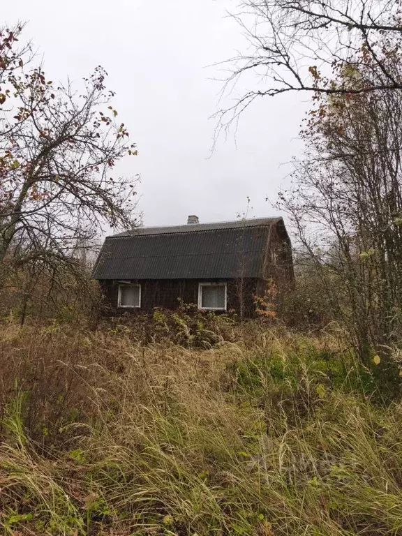 Участок в Псковская область, Пушкиногорский муниципальный округ, ... - Фото 1