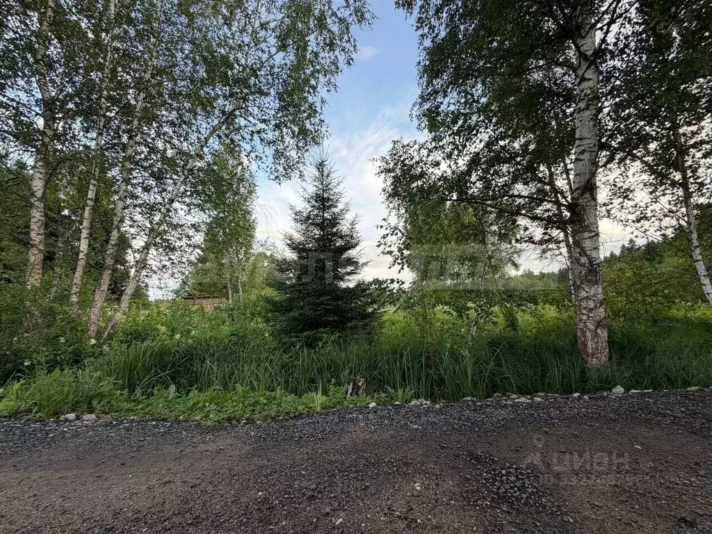 Участок в Москва Мачихино СНТ, 111 (6.04 сот.) - Фото 0