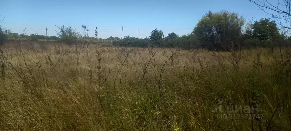 Участок в Краснодарский край, Северское с/пос, Бончковский хут. ул. ... - Фото 1