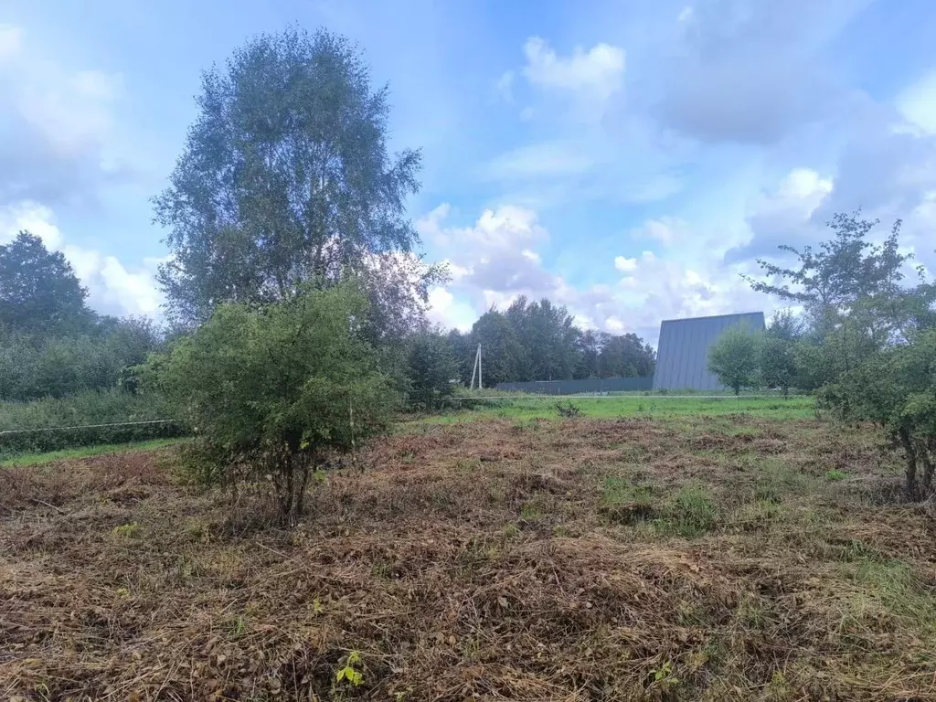 Участок в Калининградская область, Зеленоградский муниципальный округ, ... - Фото 2