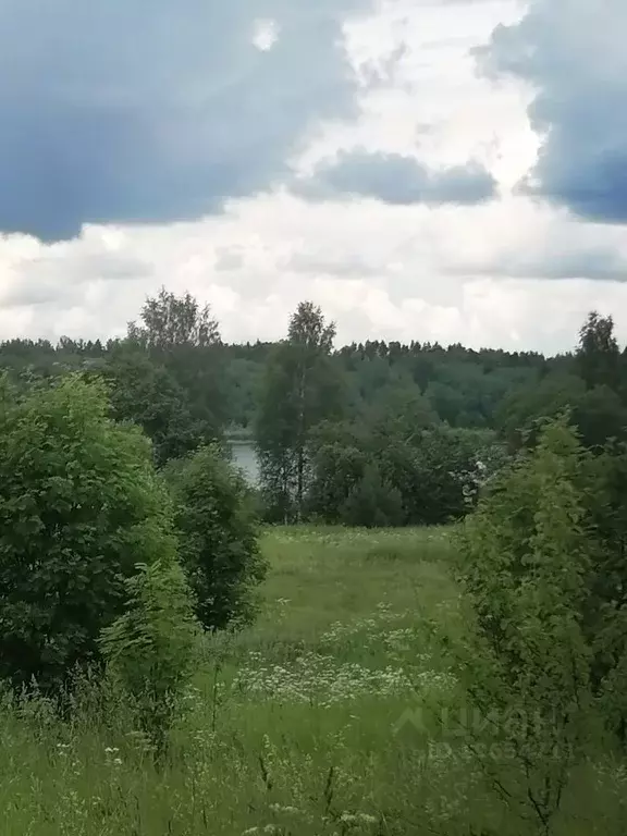 Участок в Новгородская область, Валдайский район, Ивантеевское с/пос, ... - Фото 1