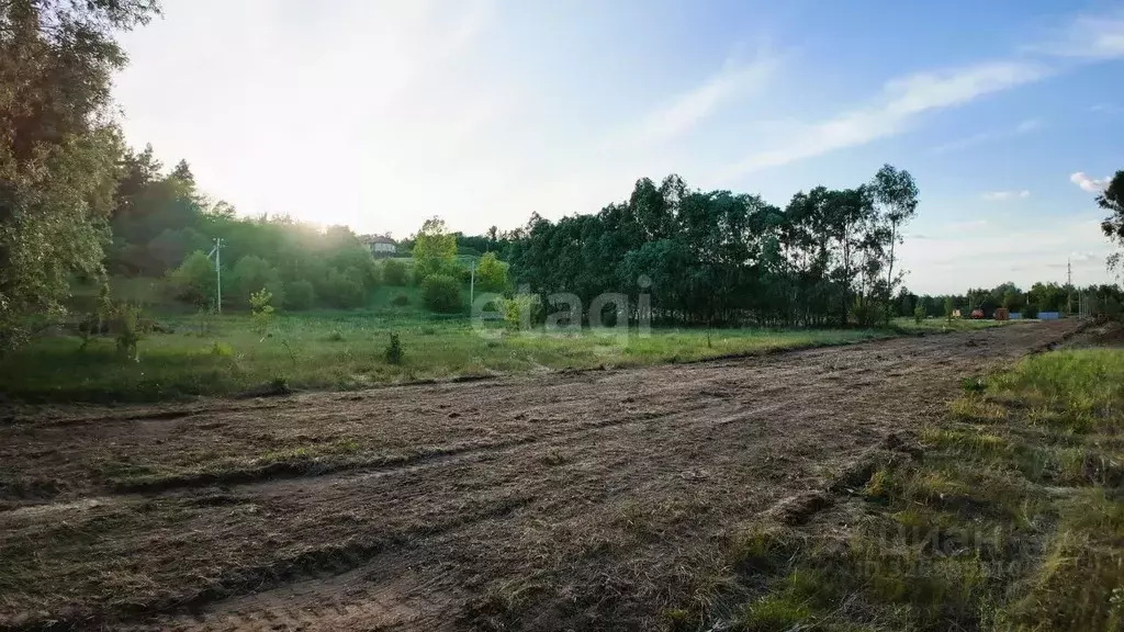 Участок в Воронежская область, Рамонский район, Березовское с/пос, д. ... - Фото 1