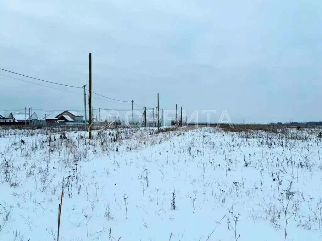 Участок в Свердловская область, Тугулымский муниципальный округ, с. ... - Фото 1