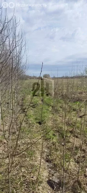 Участок в Белоярский городской округ, деревня Гусева (630 м) - Фото 1