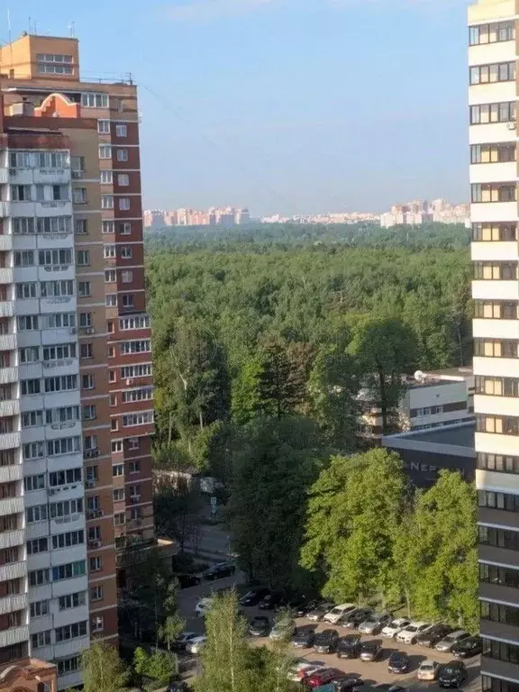1-к кв. Московская область, Балашиха Первомайский проезд, 1 (40.3 м) - Фото 1