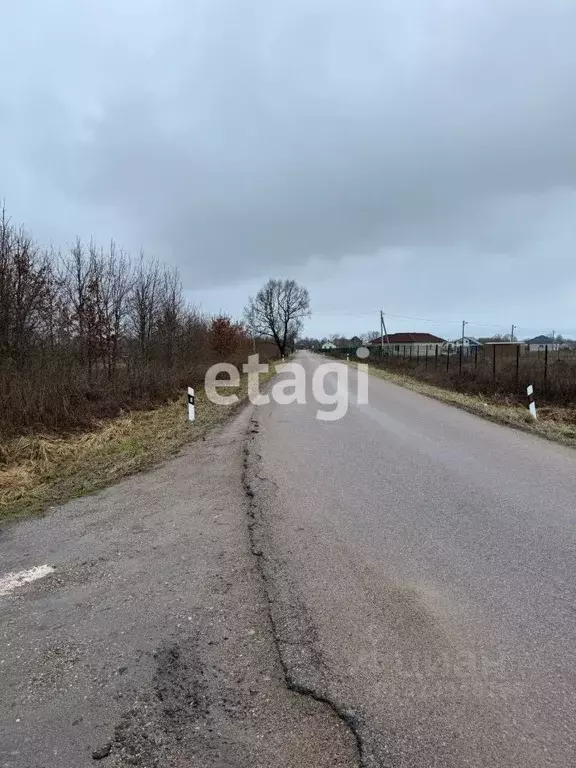 Участок в Калининградская область, Зеленоградский муниципальный округ, ... - Фото 1