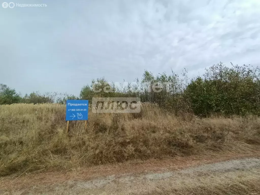 Участок в Московская область, городской округ Егорьевск, село Саввино ... - Фото 0