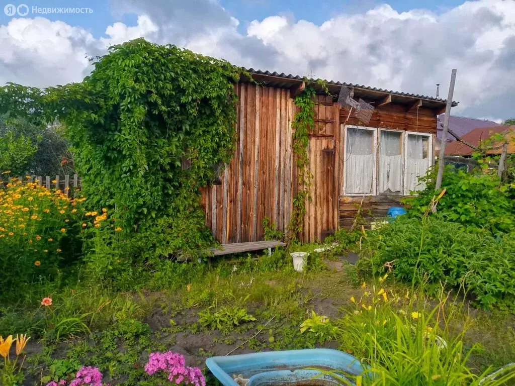 Дом в Курганская область, Кетовский муниципальный округ, СНТ ... - Фото 2