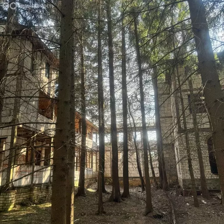 Участок в Московская область, городской округ Щёлково, СНТ Заозёрный, ... - Фото 2