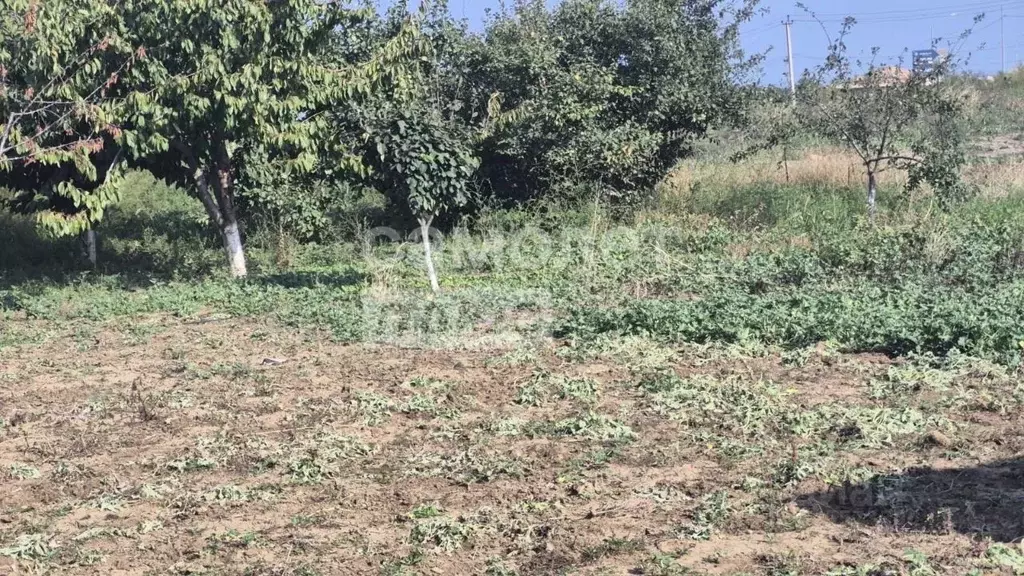 Участок в Дагестан, Дербент ул. М. Физули (4.0 сот.) - Фото 1