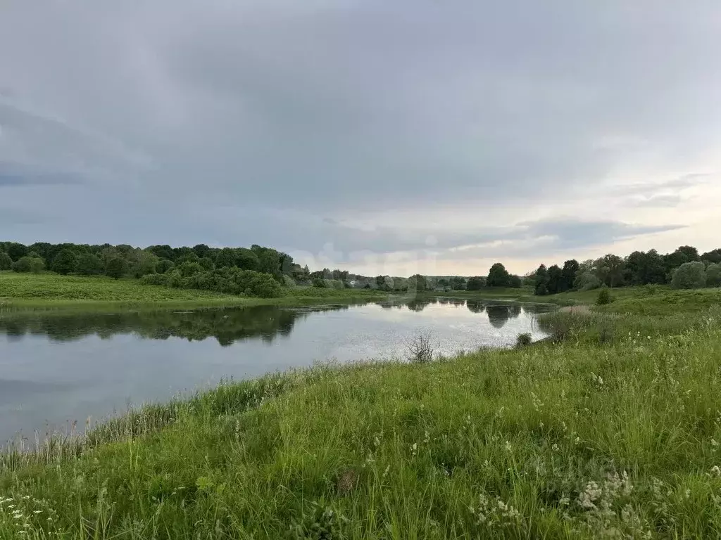 Участок в Калужская область, Сухиничский район, Алнеры с/пос, д. ... - Фото 1