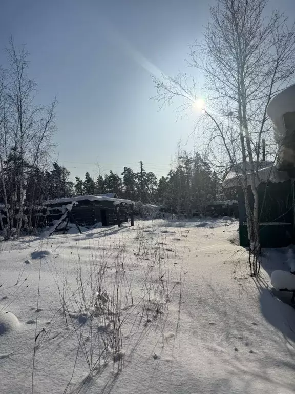 Участок в Саха (Якутия), Мегино-Кангаласский улус, Нижний Бестях пгт ... - Фото 2