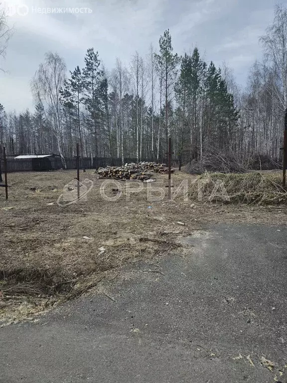 Участок в Тюменский район, деревня Речкина (20 м) - Фото 0