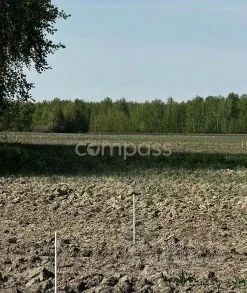 Участок в Тюменская область, Тюменский район, с. Горьковка Сибирская ... - Фото 0