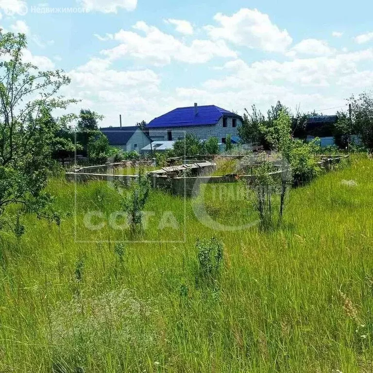 Участок в Воронеж, СНТ Железнодорожник-6, Терновая улица (10 м) - Фото 2