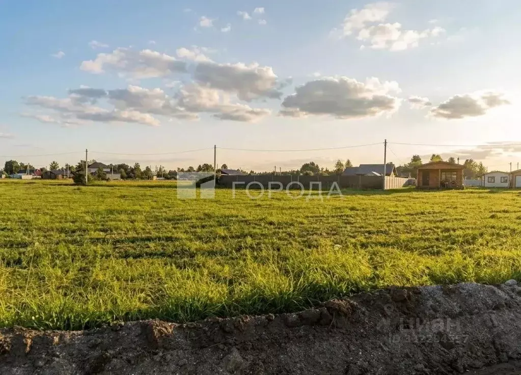 Участок в Новосибирская область, Коченевский район, Рыбачий кп ул. ... - Фото 1